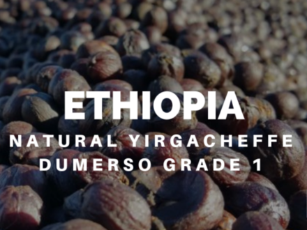 Coffee Analysis: Ethiopia Natural Yirgacheffe Dumerso Gr. 1