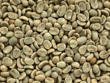 Coffee Analysis: Honduras COMSA Micro Lots