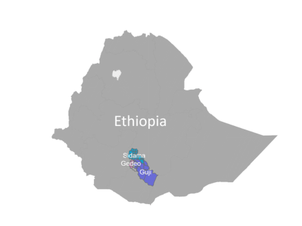 Ethiopia Yirgacheffe Idido and Espresso
