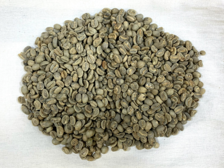 South Asia Coffee Analysis: Timor and Sulawesi Toraja