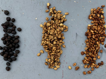 Pulped-Natural and Honey Processed Coffee