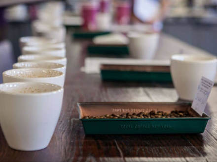 The Basics: Coffee Cupping