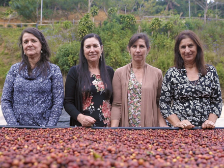 La Candelilla: 1 Family, 5th Generation Coffee Producers