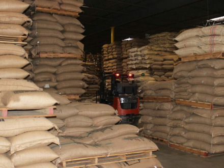 Managing Inventory 101: Green Coffee Storage