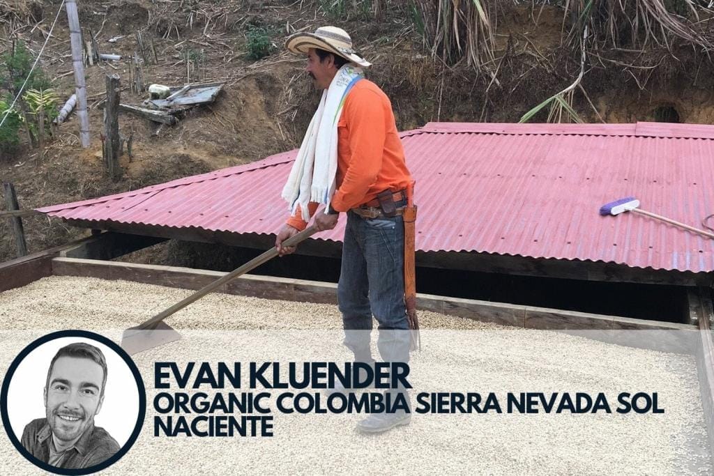 Colombian coffee farmer raking washed coffee drying in sun