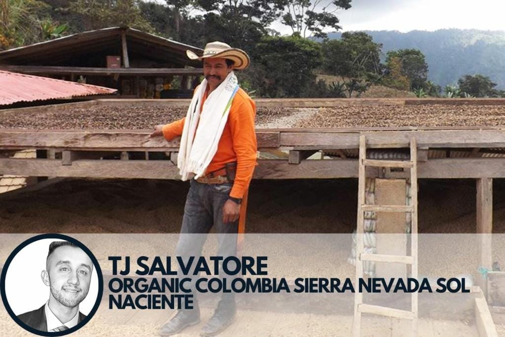 Colombian coffee farmer standing alongside coffee drying in raised beds