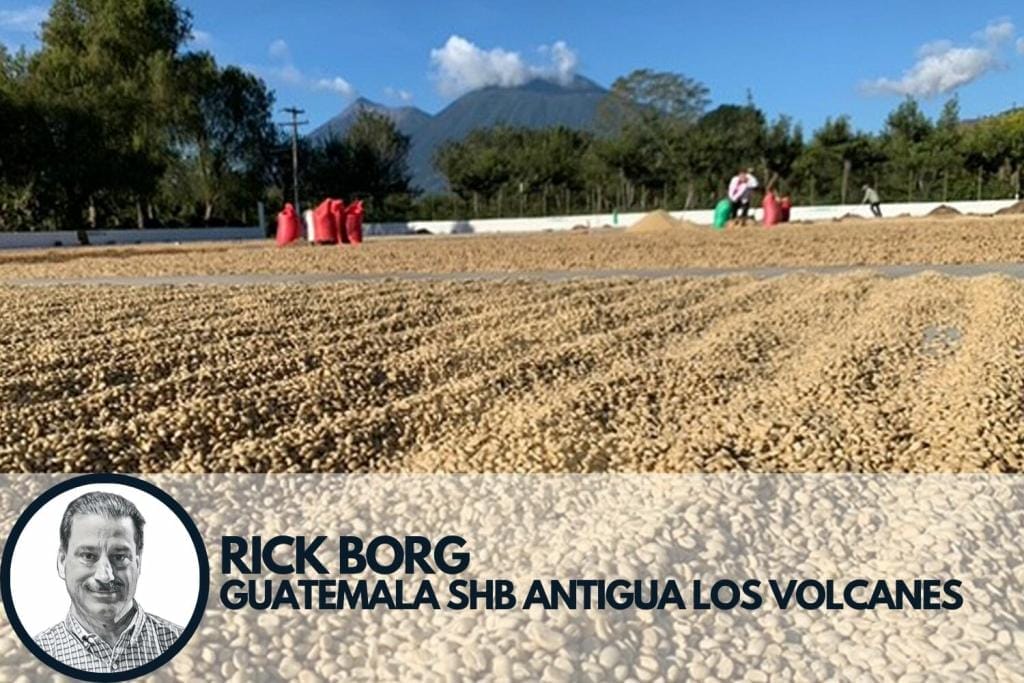 coffee drying on patios in Guatemala