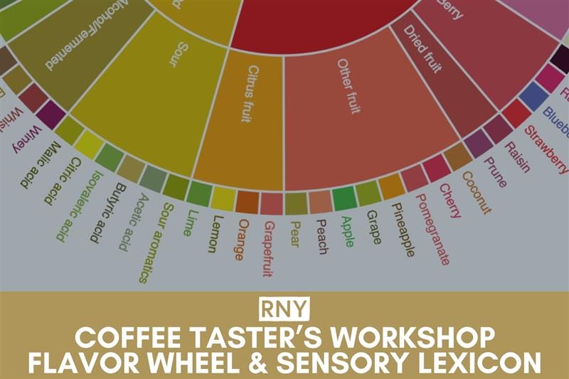 COFFEE TASTER'S FLAVOR WHEEL AND THE SENSORY LEXICON WORKSHOP